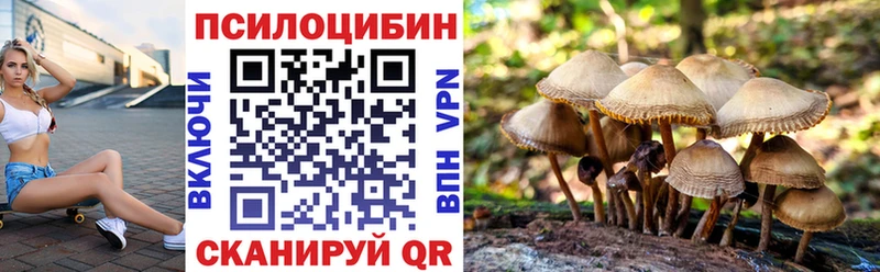 Псилоцибиновые грибы Psilocybine cubensis  купить наркотик  darknet клад  Нея  kraken ТОР 