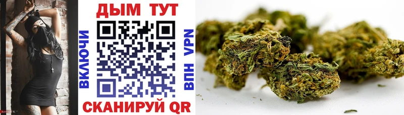 Бошки Шишки OG Kush  наркота  Нея 